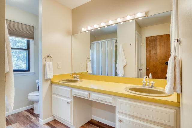 610 Birch St, Big Rapids, MI 49307 - full bathroom with toilet, double vanity, wood finished floors, and a shower