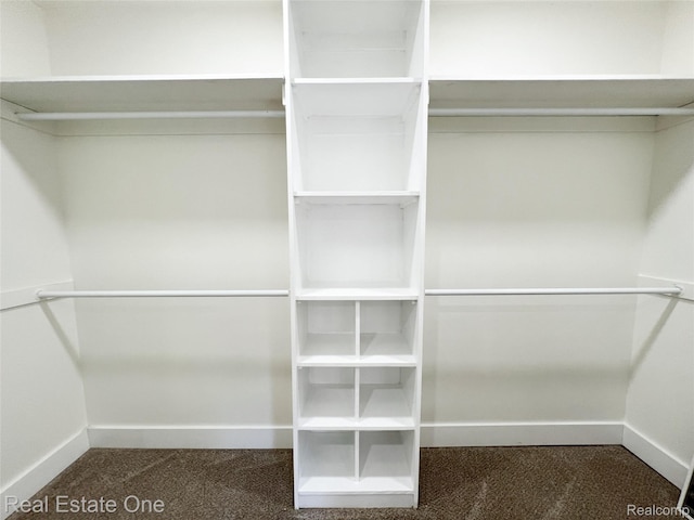 3461 Sheridan St, Detroit, MI 48214 - spacious closet with carpet flooring