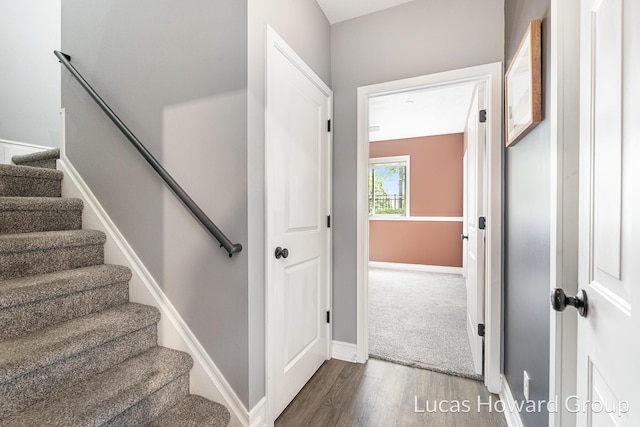 301 NW Xing Unit 25, Holland, MI 49423 - stairs featuring wood finished floors and baseboards