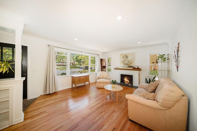 1537 Marian Ave, Ann Arbor, MI 48103 - living room with a fireplace, light wood-style flooring, and recessed lighting