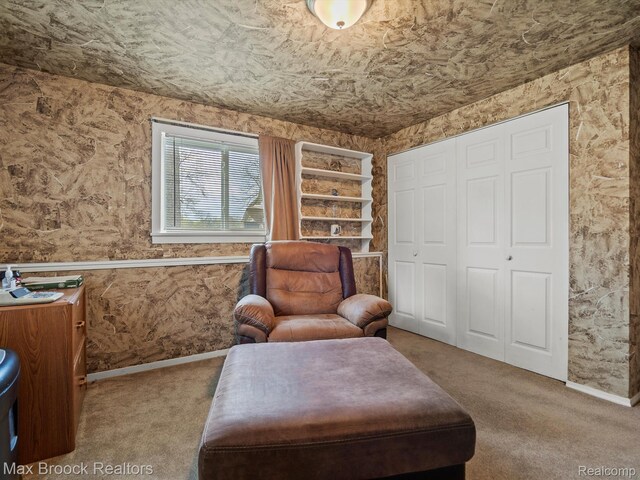 9431 Mandon Rd, White Lake, MI 48386 - sitting room with carpet floors and baseboards