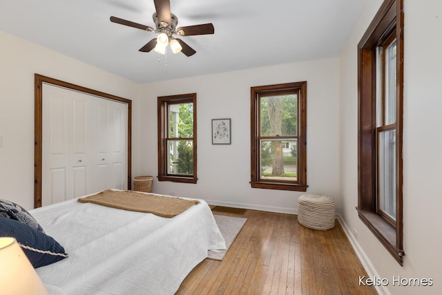 510 Division St, Big Rapids, MI 49307 - bedroom with multiple windows, hardwood / wood-style floors, baseboards, and a closet