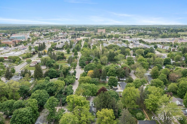 510 Division St, Big Rapids, MI 49307 - aerial view of property and surrounding area
