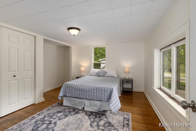 510 Division St, Big Rapids, MI 49307 - bedroom with dark wood-style floors and baseboards