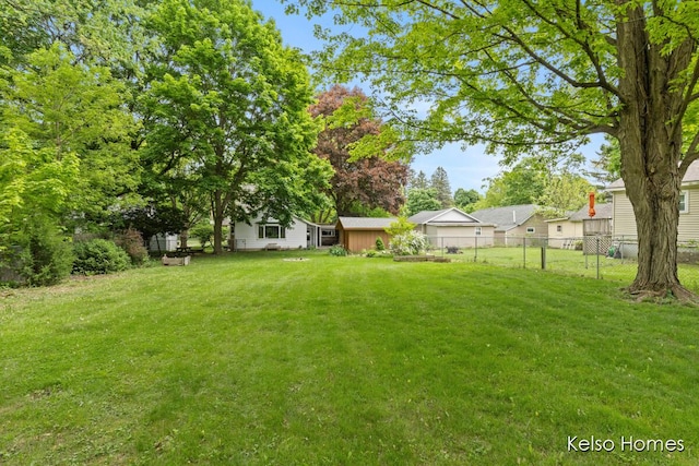 510 Division St, Big Rapids, MI 49307 - view of yard