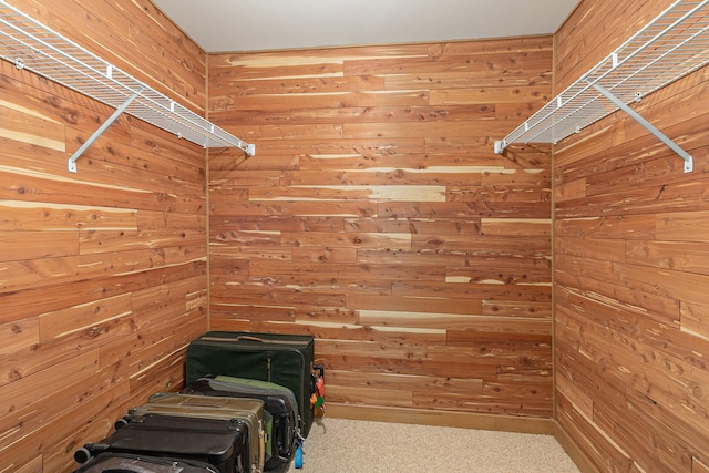 1336 Coventry Square Dr, Ann Arbor, MI 48103 - spacious closet featuring carpet flooring