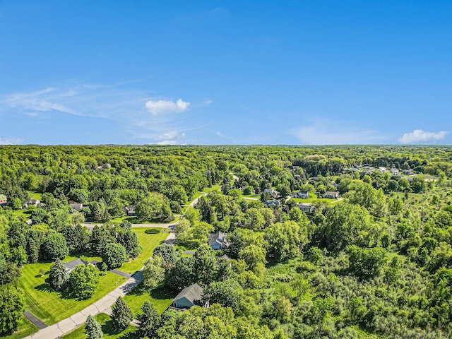 1336 Coventry Square Dr, Ann Arbor, MI 48103 - drone / aerial view of a forest