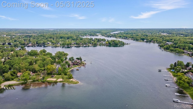 9220 Garden Ter, Commerce Twp, MI 48382 - aerial view of a large body of water and a forest