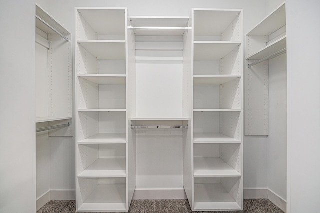 6016 Port View Dr SE, Grand Rapids, MI 49512 - view of spacious closet