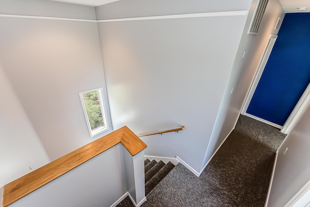285 Mulholland Ave, Ann Arbor, MI 48103 - photo 16