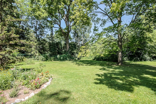 285 Mulholland Ave, Ann Arbor, MI 48103 - photo 27