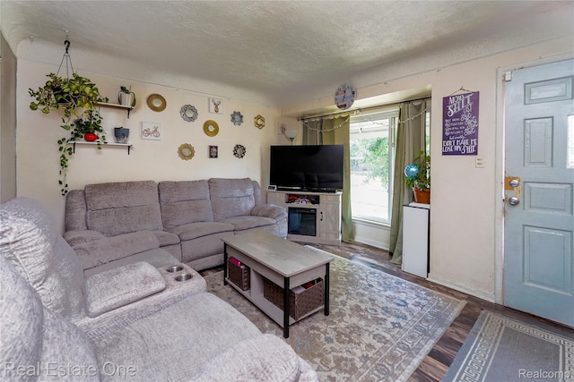 540 Champaign Rd, Lincoln Park, MI 48146 - living area featuring wood finished floors and a textured ceiling
