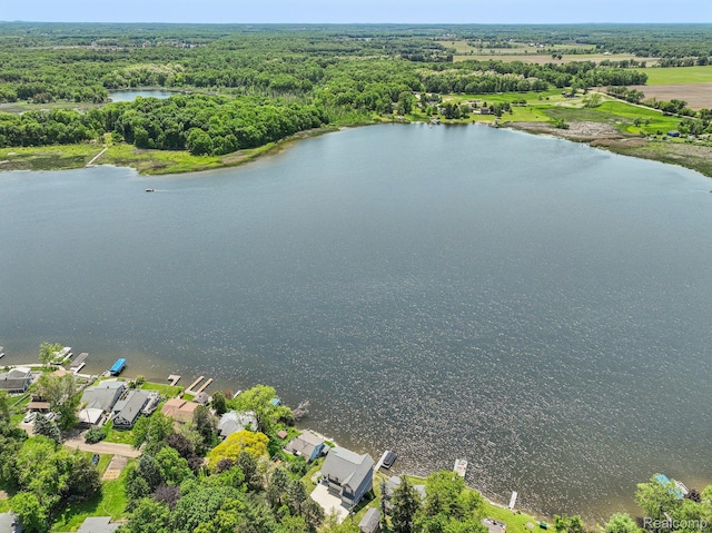 6652 Westminister St, Fenton, MI 48430 - drone / aerial view of a large body of water and a forest