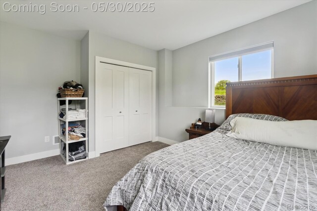 4925 Toratola Ln, Howell, MI 48843 - bedroom featuring carpet, baseboards, and a closet