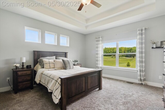 4925 Toratola Ln, Howell, MI 48843 - carpeted bedroom featuring a raised ceiling, multiple windows, baseboards, and a ceiling fan