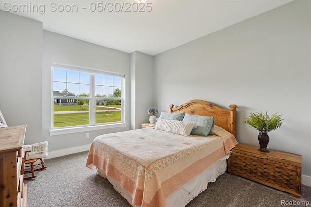4925 Toratola Ln, Howell, MI 48843 - carpeted bedroom with baseboards