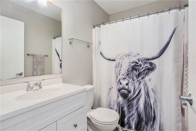 2159 New Town Dr NE, Grand Rapids, MI 49525 - full bath with toilet, vanity, and a shower with shower curtain