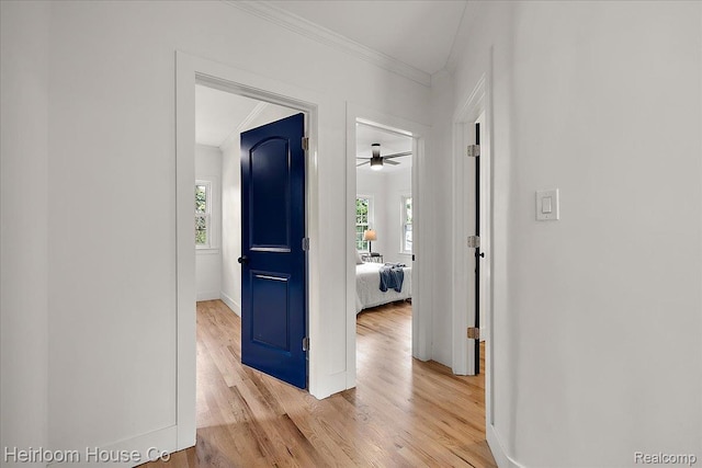 16514 Wildemere St, Detroit, MI 48221 - corridor with ornamental molding, wood finished floors, and baseboards