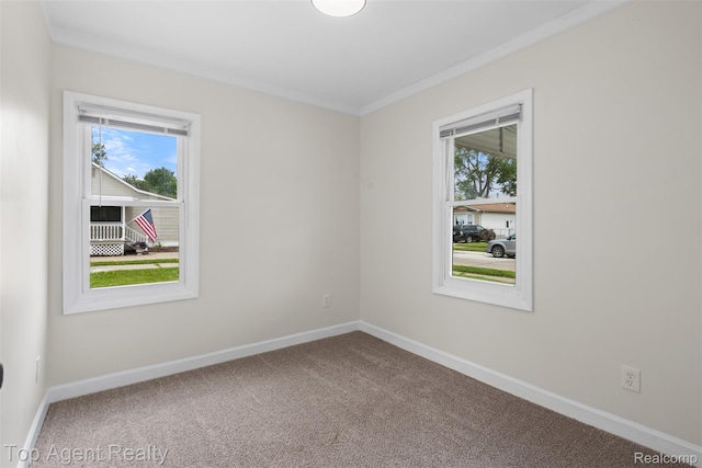 26041 Belanger St, Rochester, MI 48066 - carpeted spare room with healthy amount of natural light, baseboards, and ornamental molding