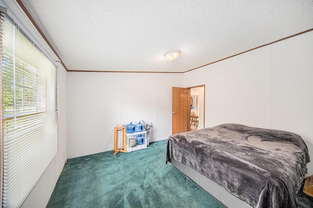 149 Hall St, Michigan Center, MI 49254 - bedroom with carpet, crown molding, and a textured ceiling