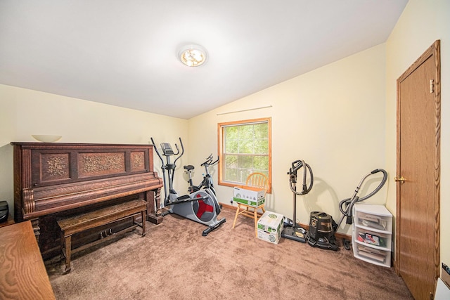149 Hall St, Michigan Center, MI 49254 - workout room with carpet floors, lofted ceiling, and baseboards