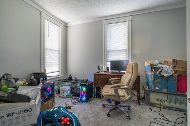1007 Ionia Ave SW, Grand Rapids, MI 49507 - home office with carpet floors, ornamental molding, and a textured ceiling