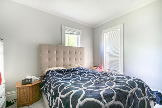 1007 Ionia Ave SW, Grand Rapids, MI 49507 - bedroom with ornamental molding and light carpet