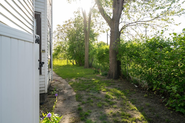 1007 Ionia Ave SW, Grand Rapids, MI 49507 - view of yard