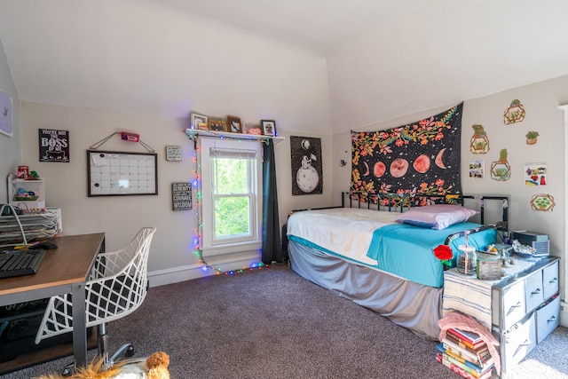 1007 Ionia Ave SW, Grand Rapids, MI 49507 - carpeted bedroom with baseboards and lofted ceiling