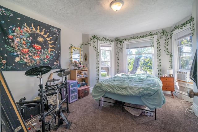 1007 Ionia Ave SW, Grand Rapids, MI 49507 - carpeted bedroom with a textured ceiling and cooling unit