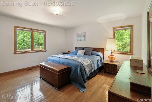4333 Running Deer Trl, Pigeon, MI 48755 - bedroom featuring multiple windows and light wood-type flooring