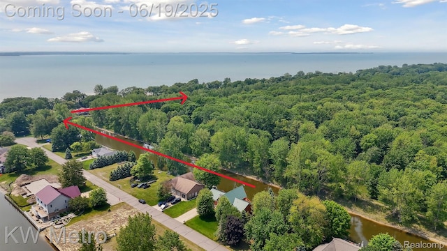 4333 Running Deer Trl, Pigeon, MI 48755 - drone / aerial view of a large body of water and a forest
