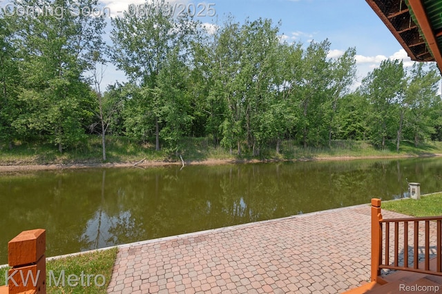 4333 Running Deer Trl, Pigeon, MI 48755 - dock with a water view