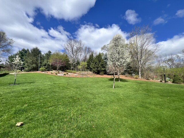 3817 Butterworth St SW, Grand Rapids, MI 49534 - view of grassy yard