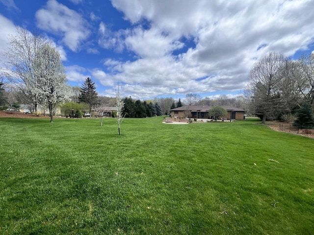 3817 Butterworth St SW, Grand Rapids, MI 49534 - view of green lawn