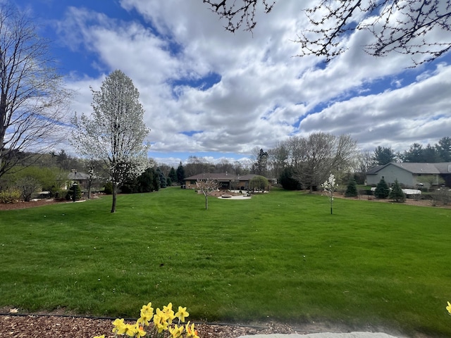 3817 Butterworth St SW, Grand Rapids, MI 49534 - view of grassy yard
