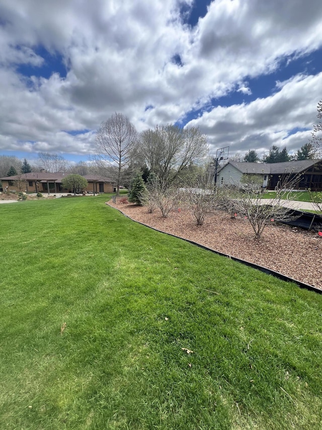 3817 Butterworth St SW, Grand Rapids, MI 49534 - view of green lawn