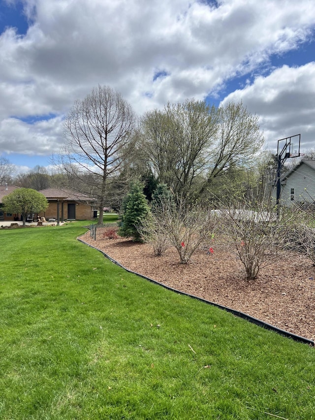 3817 Butterworth St SW, Grand Rapids, MI 49534 - view of green lawn