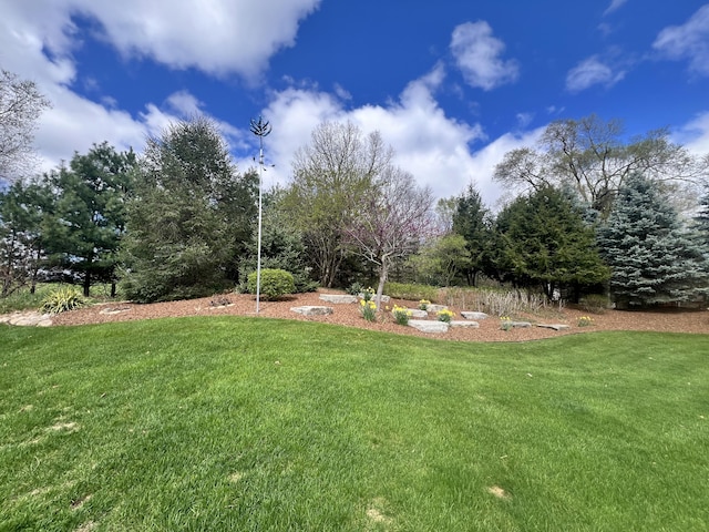 3817 Butterworth St SW, Grand Rapids, MI 49534 - view of green lawn