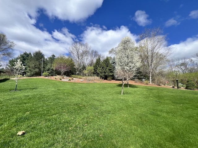 3817 Butterworth St SW, Grand Rapids, MI 49534 - view of grassy yard