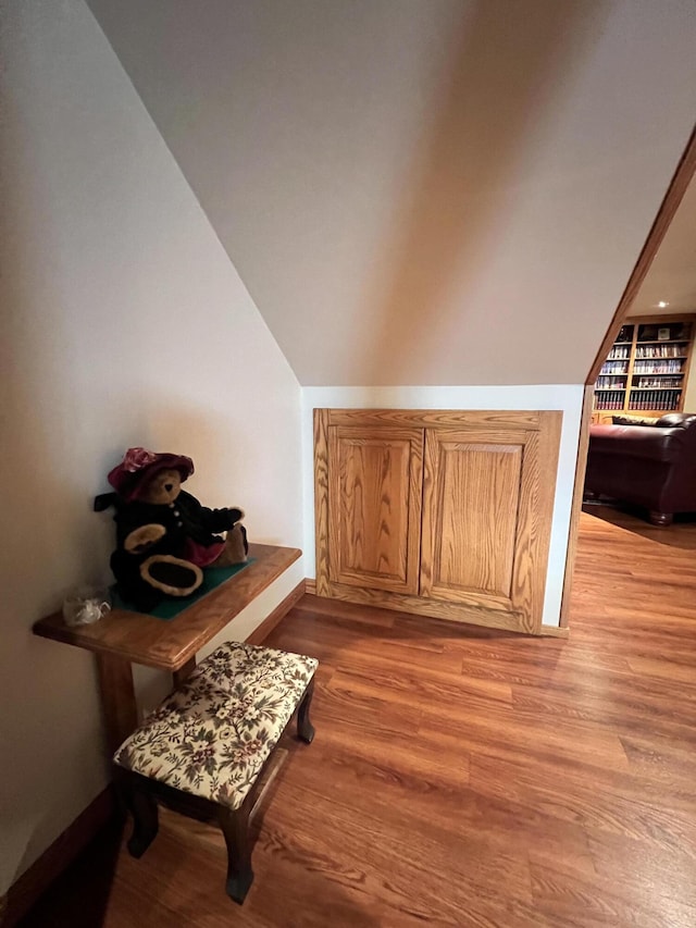 3817 Butterworth St SW, Grand Rapids, MI 49534 - additional living space featuring lofted ceiling and light wood-style flooring