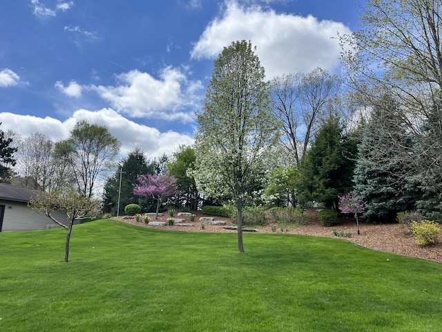 3817 Butterworth St SW, Grand Rapids, MI 49534 - view of grassy yard