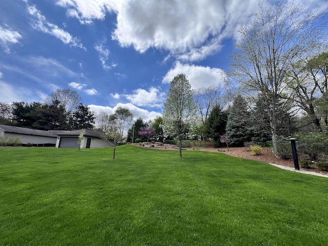 3817 Butterworth St SW, Grand Rapids, MI 49534 - view of green lawn