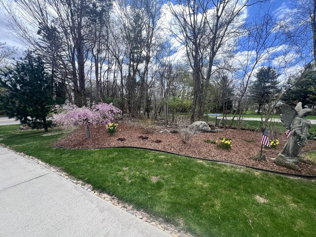 3817 Butterworth St SW, Grand Rapids, MI 49534 - view of grassy yard