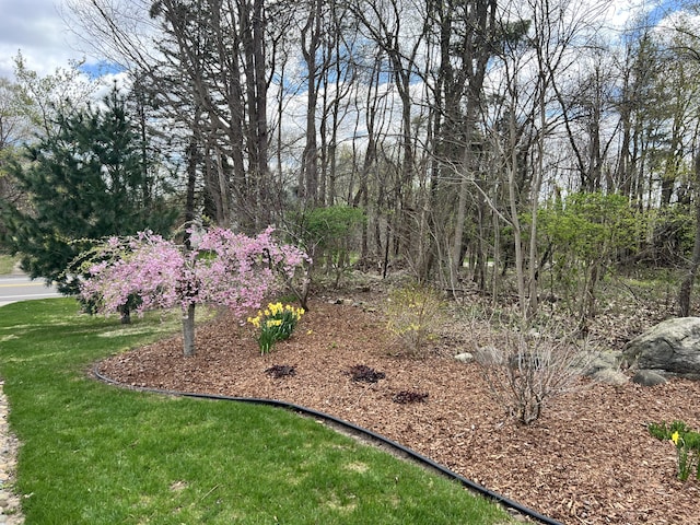 3817 Butterworth St SW, Grand Rapids, MI 49534 - view of green lawn