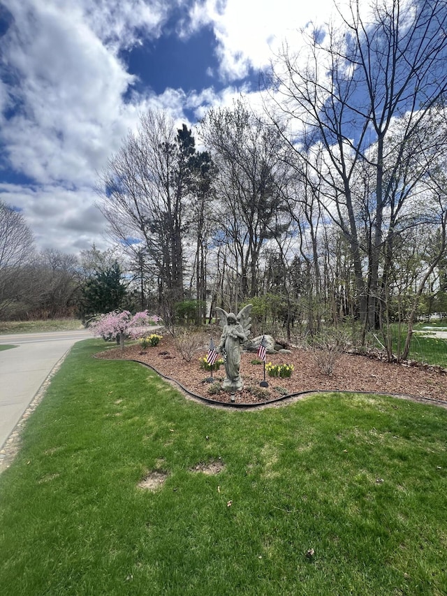 3817 Butterworth St SW, Grand Rapids, MI 49534 - view of grassy yard
