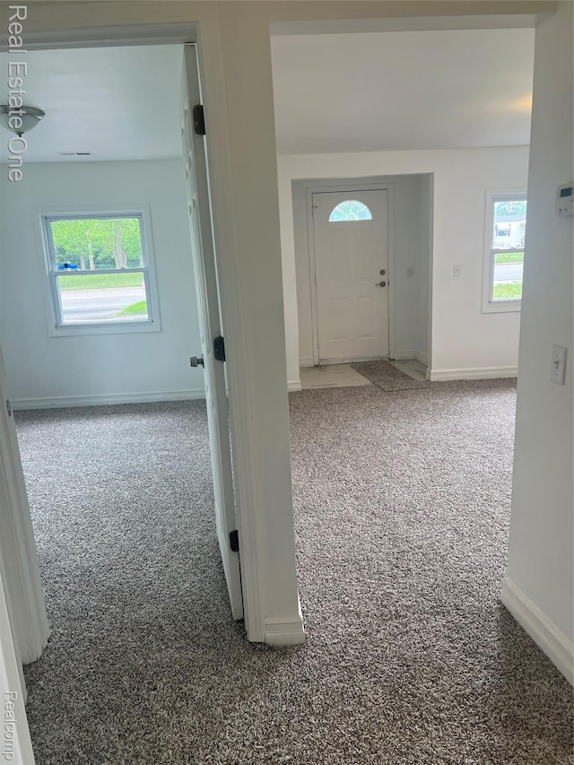 22767 Middlebelt Rd, Farmington Hills, MI 48336 - carpeted foyer featuring plenty of natural light