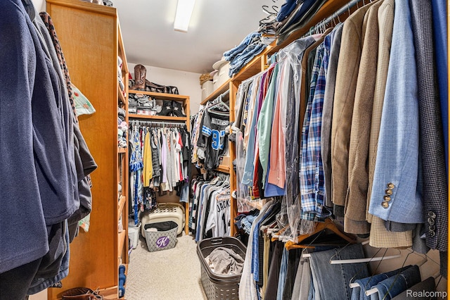 1437 Rillview Ct, Metamora, MI 48455 - spacious closet with carpet flooring