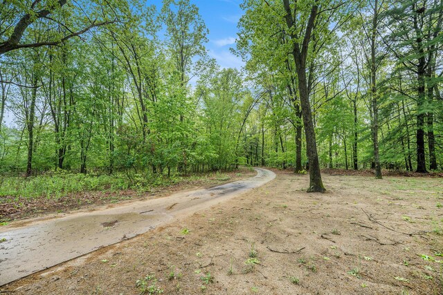36862 49th Ave, Paw Paw, MI 49079 - photo 29