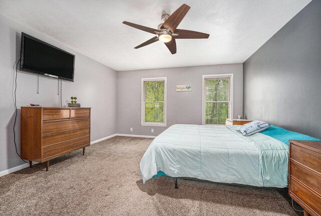 36862 49th Ave, Paw Paw, MI 49079 - photo 13